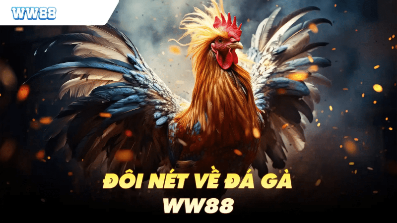 Tham gia game đá gà WW88 ngay